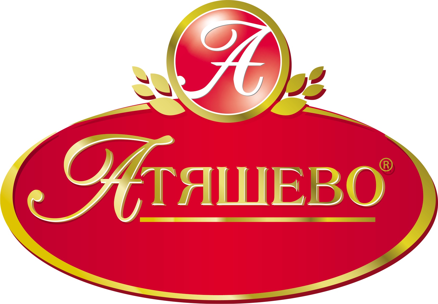 atyashevo-logo