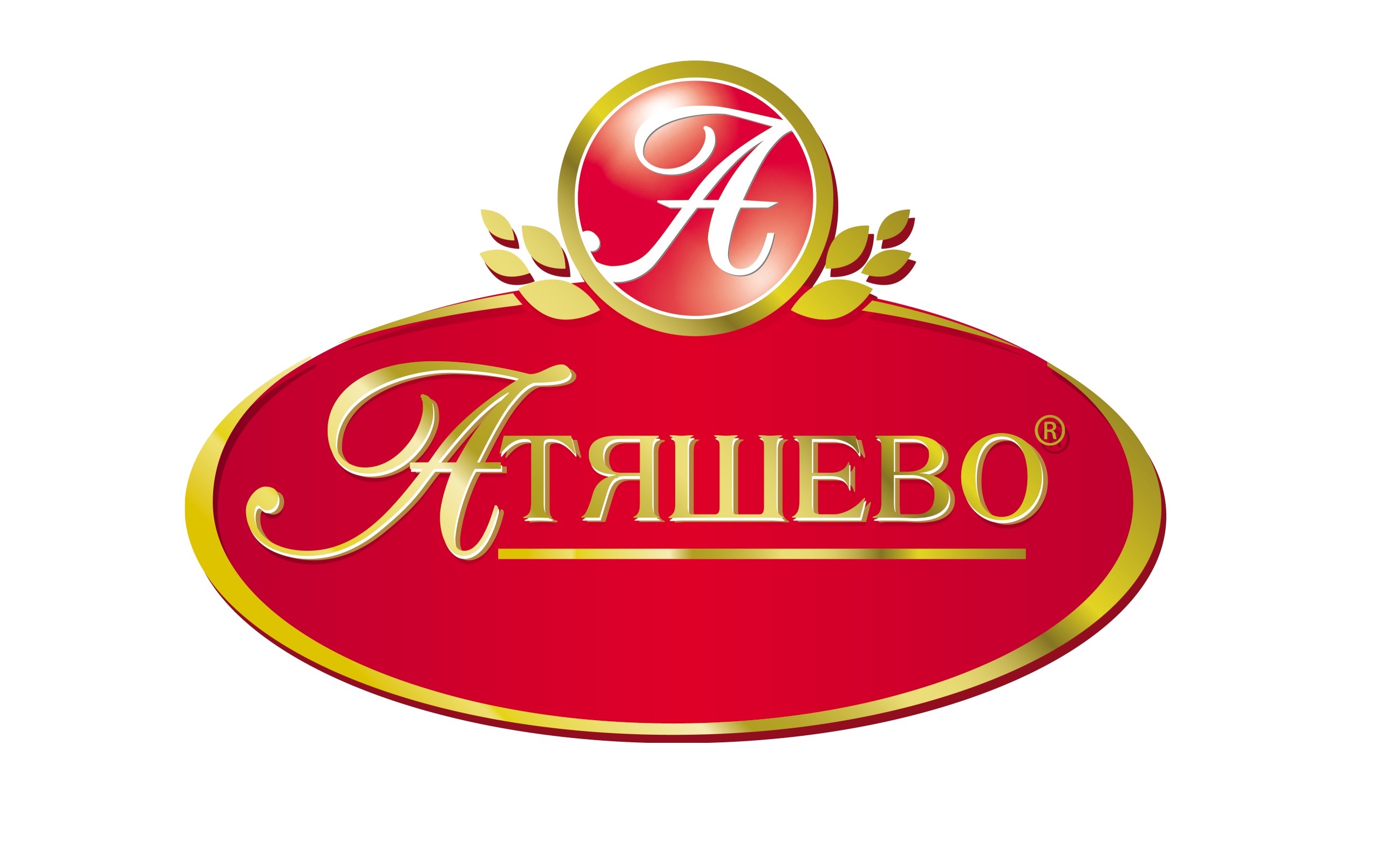 atyashevo-logo